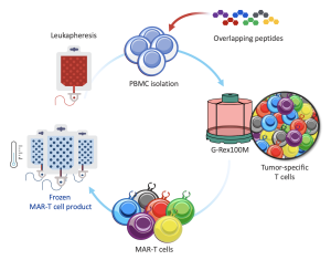 Marker’s manufacturing process 